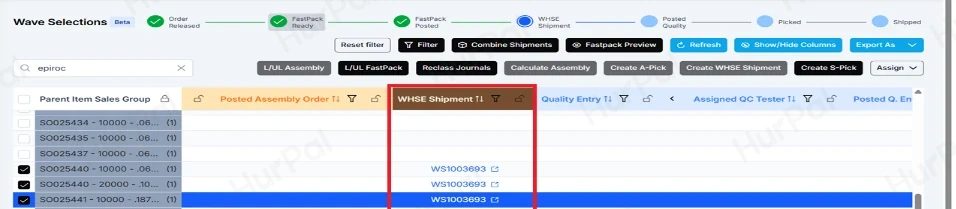 Wave Selections showing both orders on the same warehouse shipment
