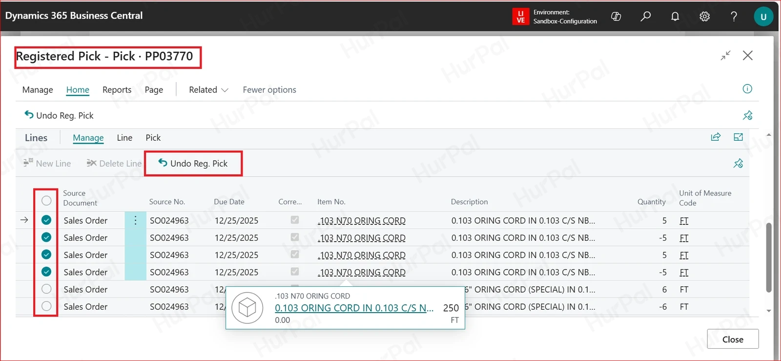 Registered Pick page with lines selected and Undo Reg. Pick highlighted