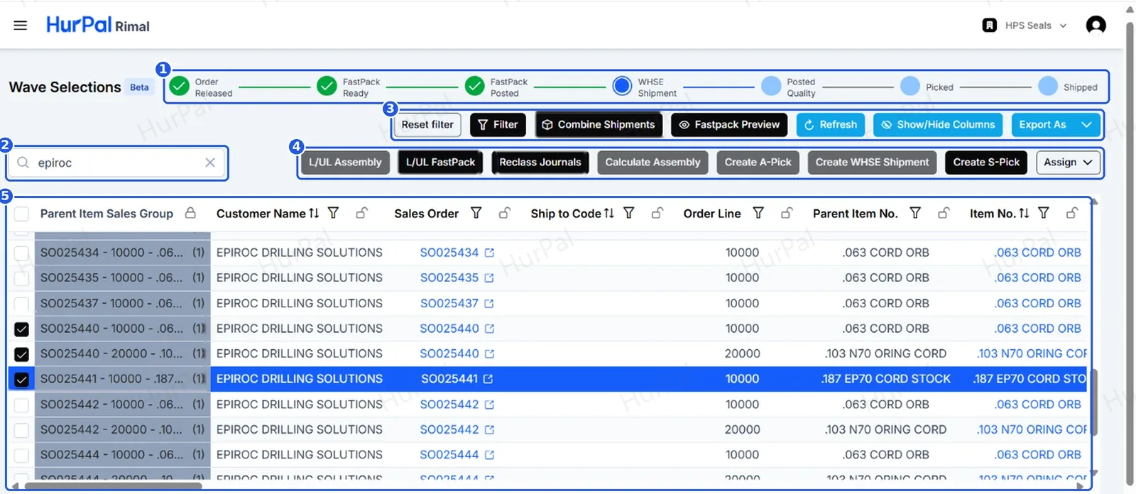 The Wave Selections page with numbered areas for the stage tracker, search, view tools, action buttons and order lines grid